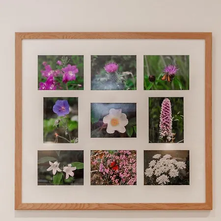 Feriehus Swift Pateley Bridge