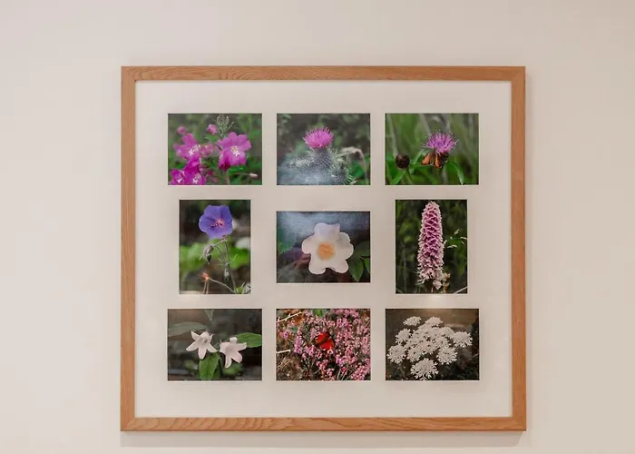 Vakantiehuis Swift Pateley Bridge